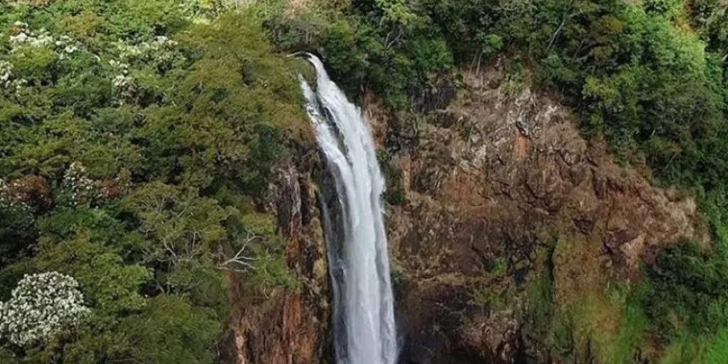 Trilha da Cascata: Uma aventura no Parque Estadual Furnas do Bom Jesus.