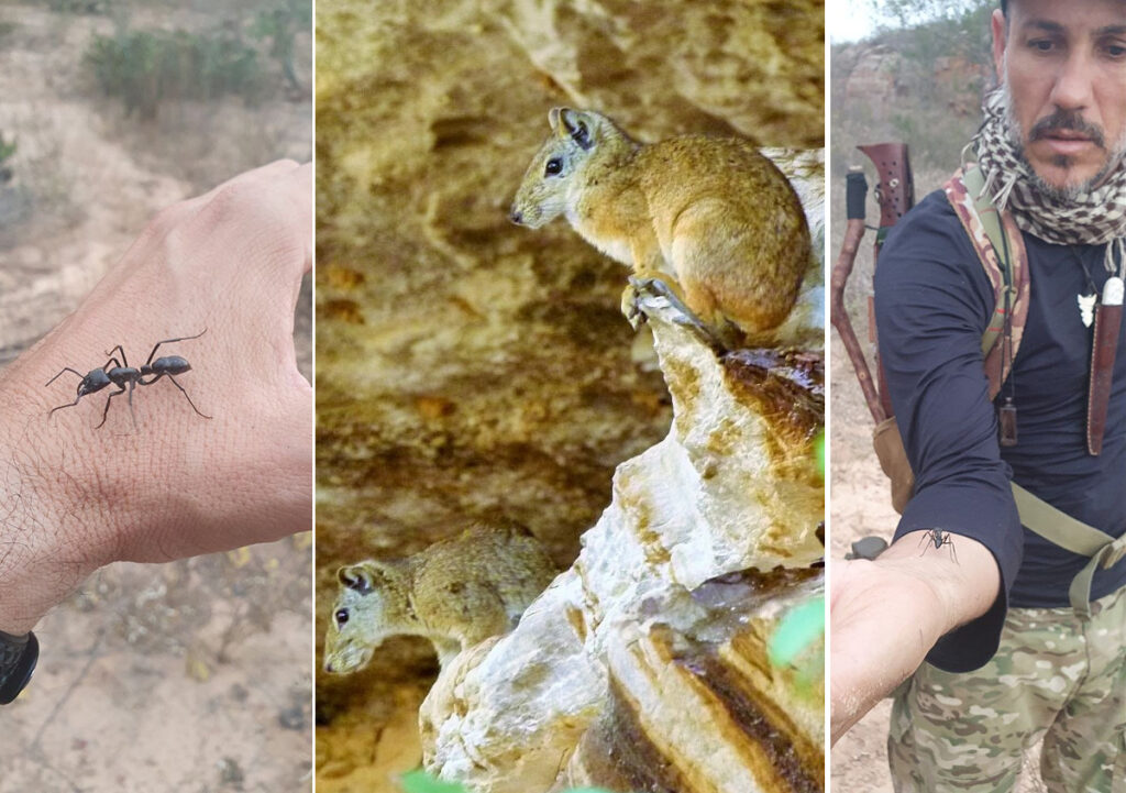 Brasil BIOMAS: desbravando os segredos da Caatinga